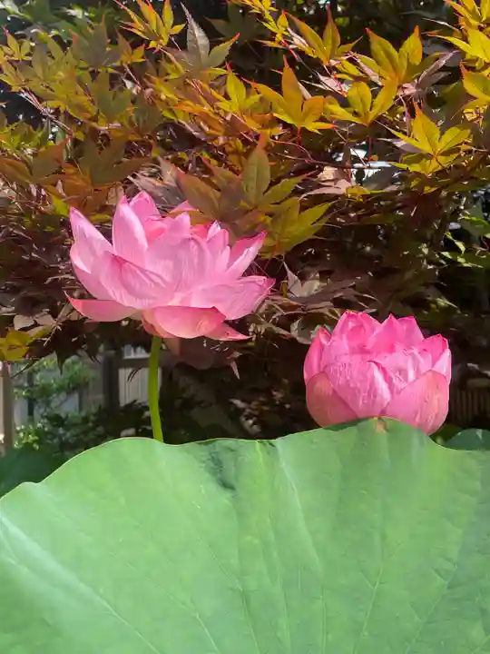 梅香寺(三重県)