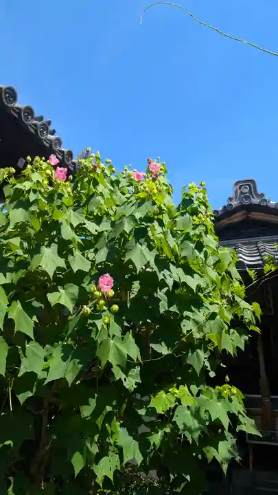 後白河院御聖蹟 法住寺(京都府)