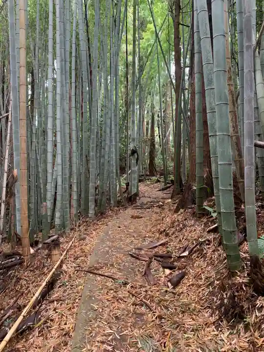 借宿山蔵王大神(千葉県)