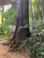 妙見神社(千葉県)