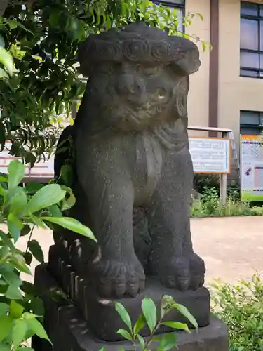 鷺宮八幡神社の狛犬