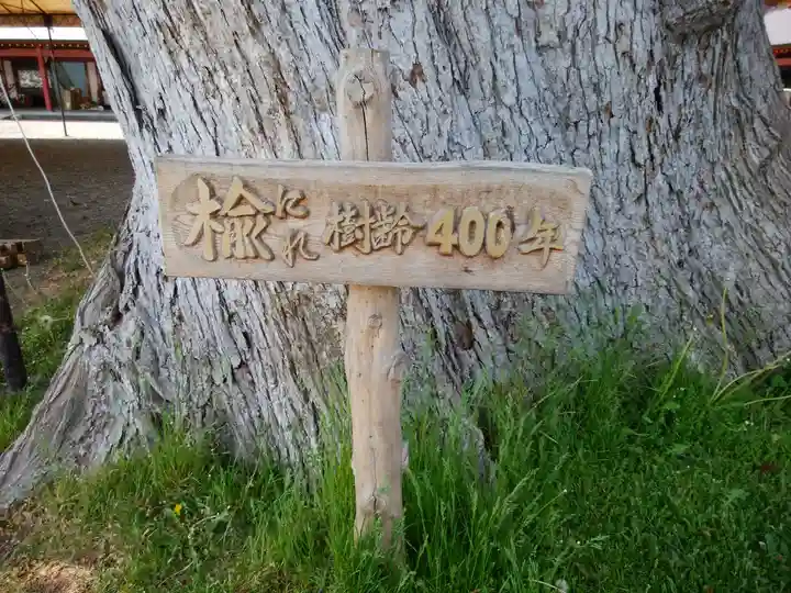 北海道護國神社の自然