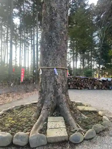 芳賀天満宮(栃木県)