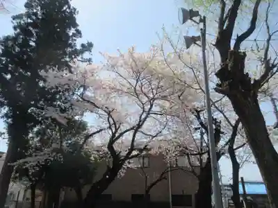 須賀神社の自然