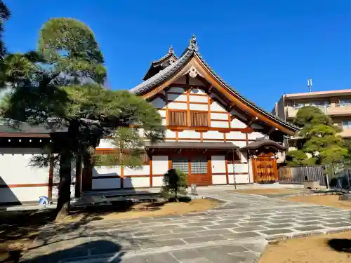 東北寺の{uncategorized: "未分類", other: "その他", undefined: "問題あり", building: "その他建物", grave: "お墓", sacred_gate: "鳥居", guardian: "狛犬", statue: "像", buddha: "仏像", history: "歴史", nature: "自然", garden: "庭園", animal: "動物", pagoda: "塔", temizu: "手水舎", mountain_gate: "山門・神門", sanctuary: "本殿・本堂", subordinate: "末社・摂社", art: "芸術", scenery: "景色", jizo: "地蔵", ema: "絵馬", goshuin: "御朱印", omikuji: "おみくじ", items: "授与品その他", amulet: "お守り", goshuincho: "御朱印帳", eats: "食事", festival: "お祭り", votive_dance: "神楽", shichigosan: "七五三参", wedding: "結婚式", experience: "体験その他", initially: "初詣", around: "周辺", anti_infection: "感染症対策"}