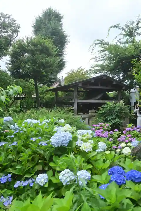 白山神社(東京都)