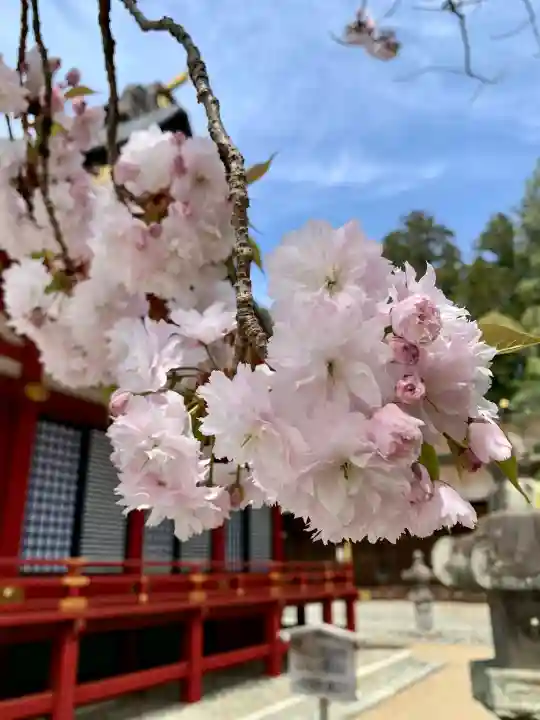 志波彦神社・鹽竈神社の{uncategorized: "未分類", other: "その他", undefined: "問題あり", building: "その他建物", grave: "お墓", sacred_gate: "鳥居", guardian: "狛犬", statue: "像", buddha: "仏像", history: "歴史", nature: "自然", garden: "庭園", animal: "動物", pagoda: "塔", temizu: "手水舎", mountain_gate: "山門・神門", sanctuary: "本殿・本堂", subordinate: "末社・摂社", art: "芸術", scenery: "景色", jizo: "地蔵", ema: "絵馬", goshuin: "御朱印", omikuji: "おみくじ", items: "授与品その他", amulet: "お守り", goshuincho: "御朱印帳", eats: "食事", festival: "お祭り", votive_dance: "神楽", shichigosan: "七五三参", wedding: "結婚式", experience: "体験その他", initially: "初詣", around: "周辺", anti_infection: "感染症対策"}