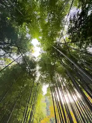 報国寺(神奈川県)