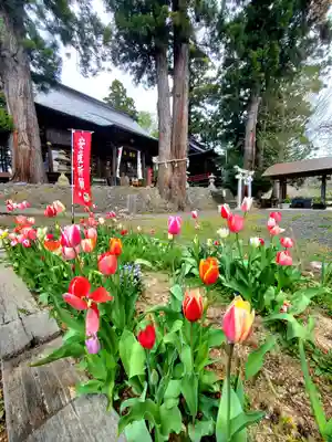 高司神社〜むすびの神の鎮まる社〜(福島県)
