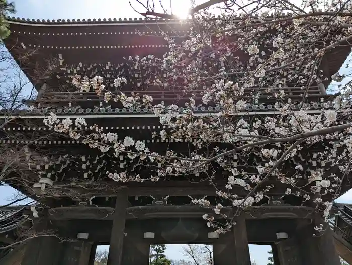 くろ谷 金戒光明寺の山門