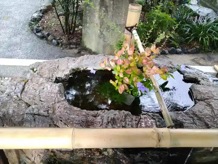 阿智神社の手水舎