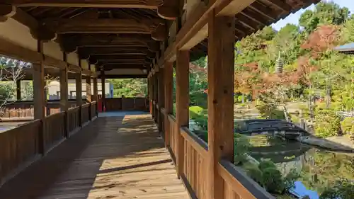 清凉寺(京都府)