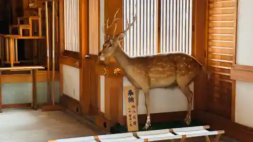春日神社(京都府)