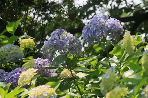 開成山大神宮の庭園