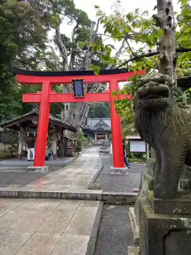 伊古奈比咩命神社の鳥居