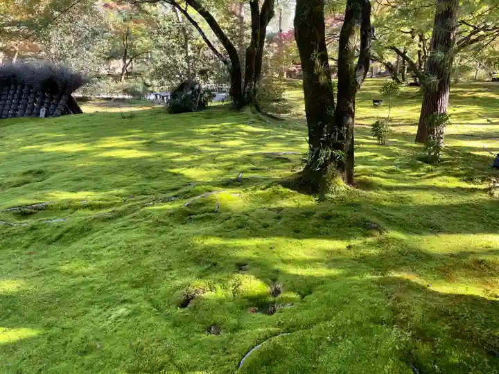 宝厳院(京都府)