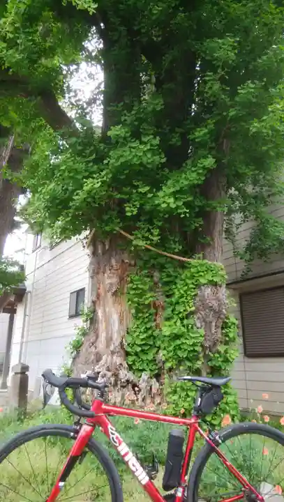 香取神社のその他建物