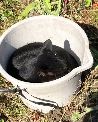 高司神社〜むすびの神の鎮まる社〜(福島県)