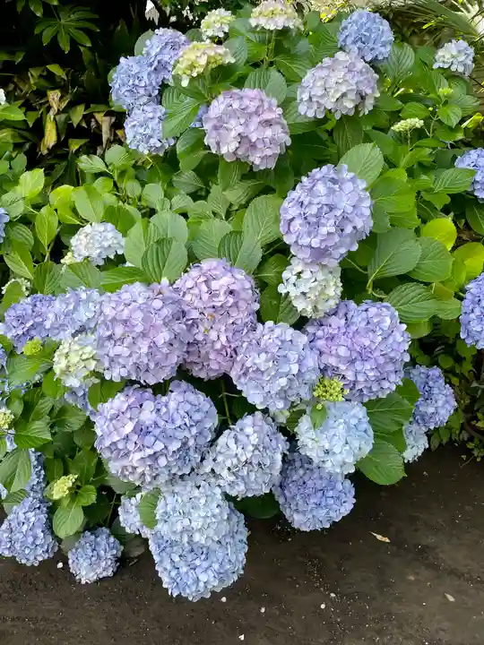 教恩寺(神奈川県)
