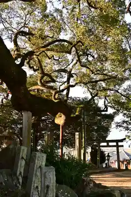 天満神社(愛媛県)