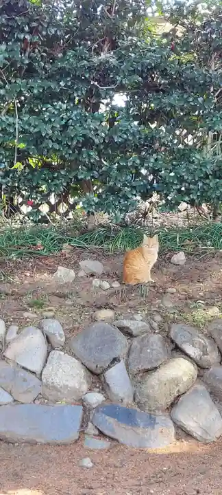 恵林寺(山梨県)