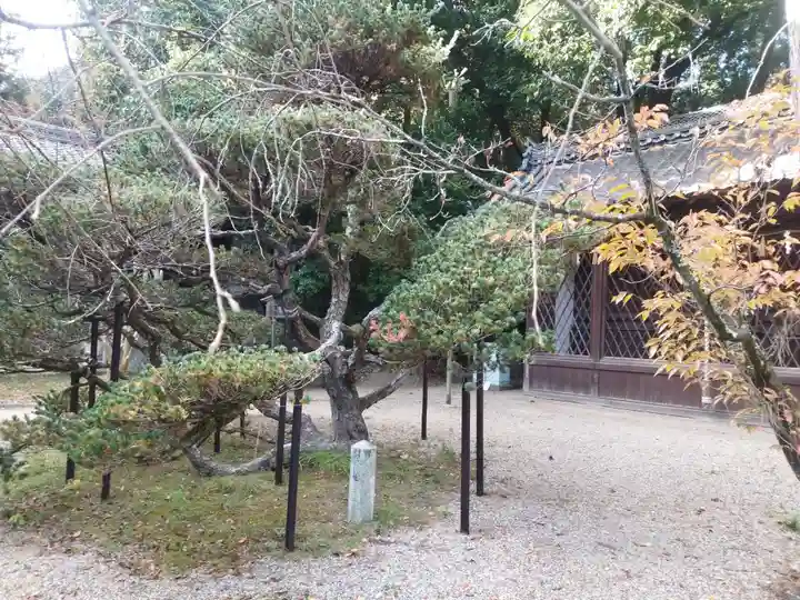 向日神社(京都府)