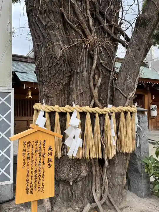 夫婦恵比須神社(福岡県)