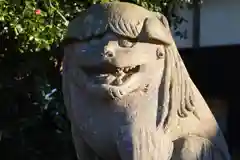 小幡八幡宮の狛犬