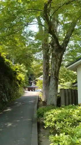 瀧安寺(大阪府)
