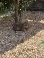 三輪神社の動物