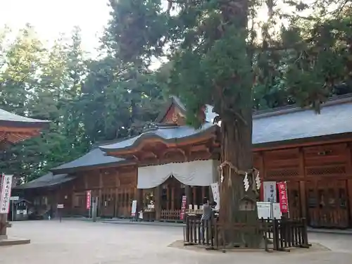 穂高神社本宮の本殿・本堂