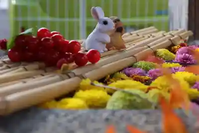 阿邪訶根神社の手水舎