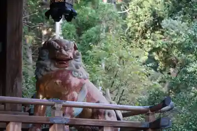 赤山禅院の狛犬