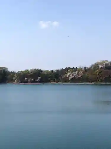 氷川神社の周辺