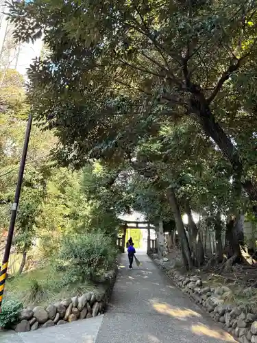 渋谷氷川神社(東京都)