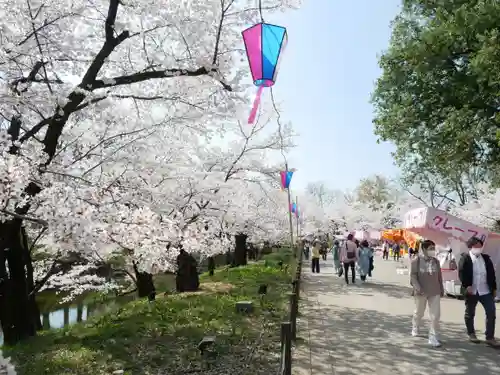 眞田神社の自然