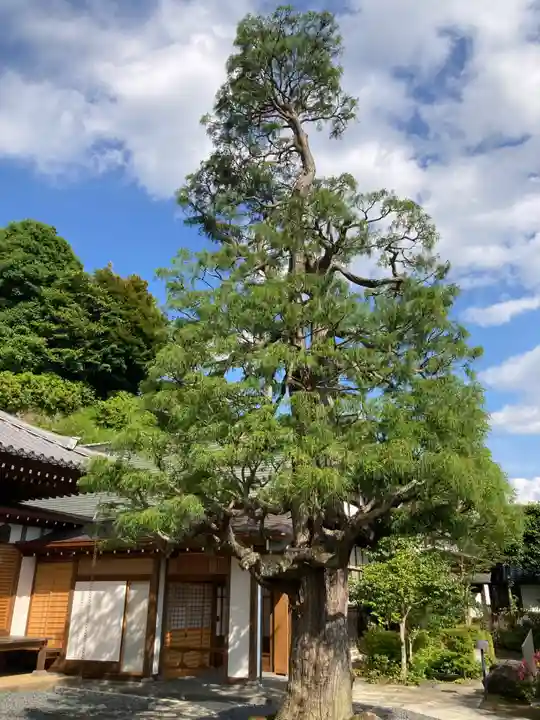 雲頂庵(神奈川県)