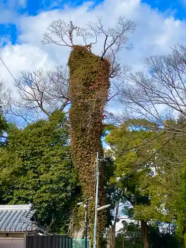 白鳥神社(大阪府)