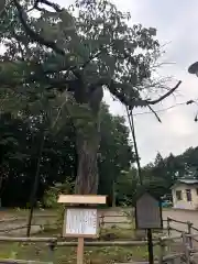 弟子屈神社(北海道)