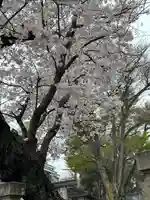 浅間神社の自然