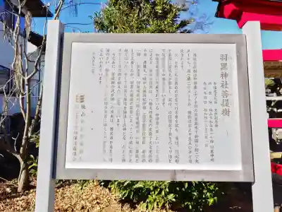 羽黒神社の{uncategorized: "未分類", other: "その他", undefined: "問題あり", building: "その他建物", grave: "お墓", sacred_gate: "鳥居", guardian: "狛犬", statue: "像", buddha: "仏像", history: "歴史", nature: "自然", garden: "庭園", animal: "動物", pagoda: "塔", temizu: "手水舎", mountain_gate: "山門・神門", sanctuary: "本殿・本堂", subordinate: "末社・摂社", art: "芸術", scenery: "景色", jizo: "地蔵", ema: "絵馬", goshuin: "御朱印", omikuji: "おみくじ", items: "授与品その他", amulet: "お守り", goshuincho: "御朱印帳", eats: "食事", festival: "お祭り", votive_dance: "神楽", shichigosan: "七五三参", wedding: "結婚式", experience: "体験その他", initially: "初詣", around: "周辺", anti_infection: "感染症対策"}