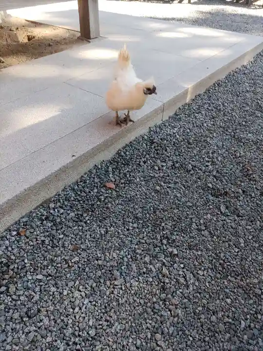 高屋敷稲荷神社(福島県)