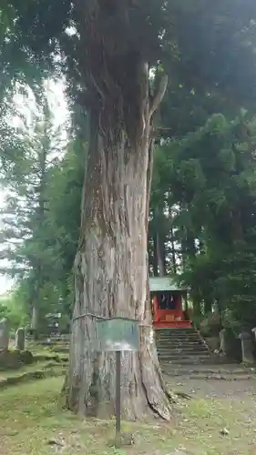 花石神社(栃木県)