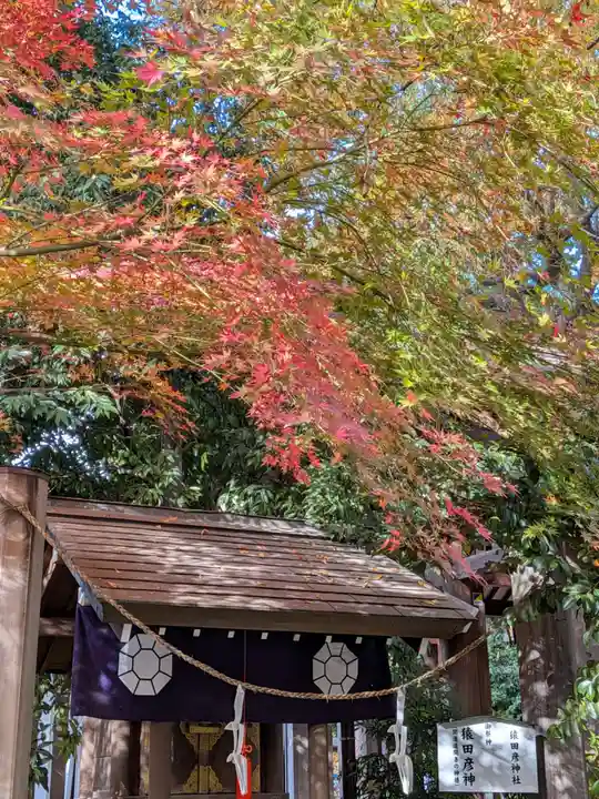 阿佐ヶ谷神明宮(東京都)