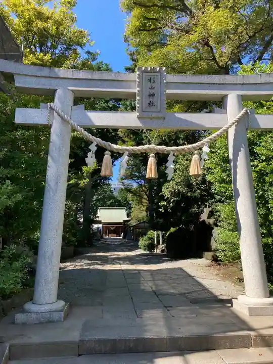 星川杉山神社の鳥居