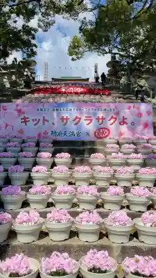 防府天満宮の{uncategorized: "未分類", other: "その他", undefined: "問題あり", building: "その他建物", grave: "お墓", sacred_gate: "鳥居", guardian: "狛犬", statue: "像", buddha: "仏像", history: "歴史", nature: "自然", garden: "庭園", animal: "動物", pagoda: "塔", temizu: "手水舎", mountain_gate: "山門・神門", sanctuary: "本殿・本堂", subordinate: "末社・摂社", art: "芸術", scenery: "景色", jizo: "地蔵", ema: "絵馬", goshuin: "御朱印", omikuji: "おみくじ", items: "授与品その他", amulet: "お守り", goshuincho: "御朱印帳", eats: "食事", festival: "お祭り", votive_dance: "神楽", shichigosan: "七五三参", wedding: "結婚式", experience: "体験その他", initially: "初詣", around: "周辺", anti_infection: "感染症対策"}