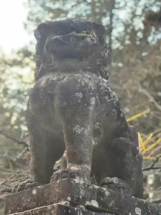 北口本宮冨士浅間神社の狛犬