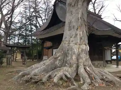 更級斗女神社の自然