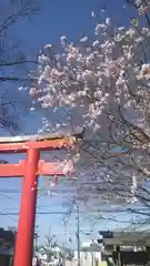 平野神社の自然