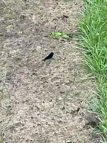 光丸山 法輪寺(栃木県)